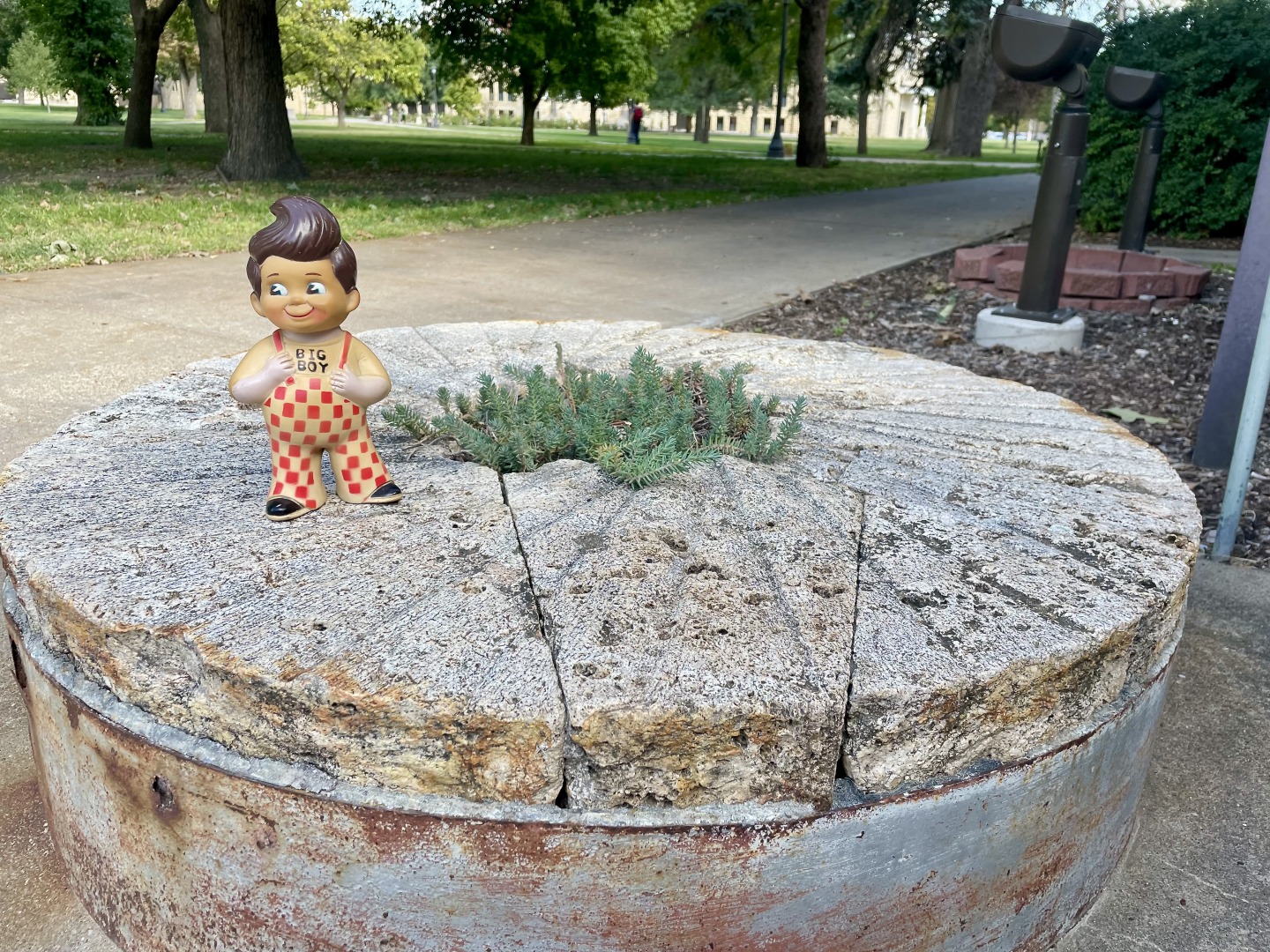 Big Boy on mill stone